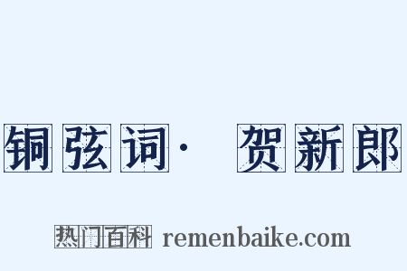 铜弦词·贺新郎是什么意思的图片